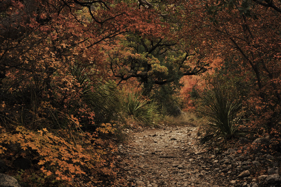 Guadalupe Mountains National Park