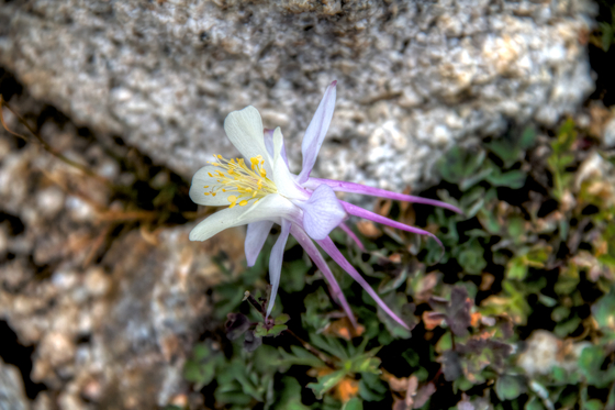 Great Basin National Park