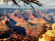 Grand Canyon National Parks