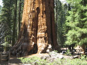 Sequoia National Park