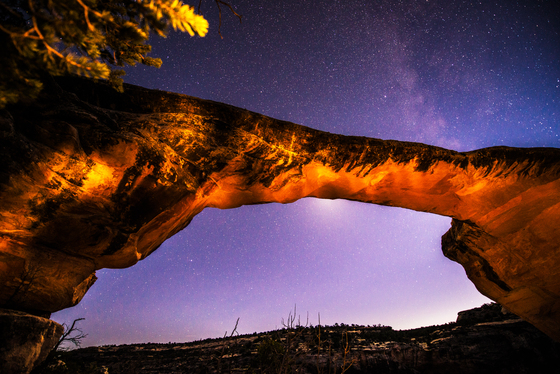 Natural Bridges National Monument
