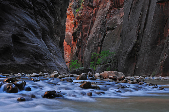 Zion NP, UT
