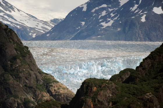 Tongass National Forest