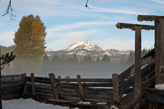 Lassen