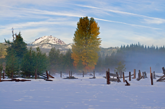 Lassen
