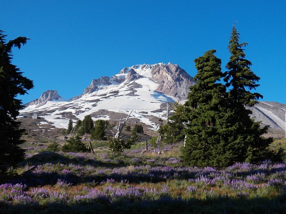 Mt. Hood