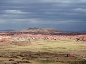 Petrified National Park