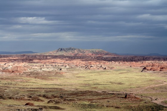 Petrified National Park