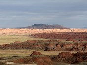 Petrified Forest National Park