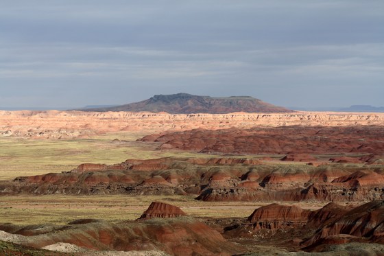 Petrified Forest National Park