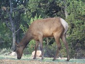 Grand Canyon National Park