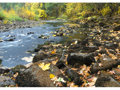 Yosemite National Park