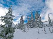 Mt. Rainier National Park