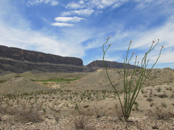Big Bend National Park