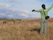 Shenandoah National Park