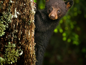Smoky Mountains National Park