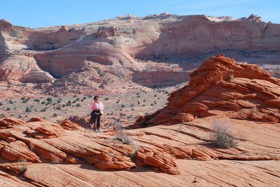 BLM open land