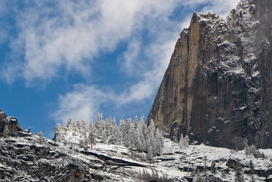 Yosemite Natinal park