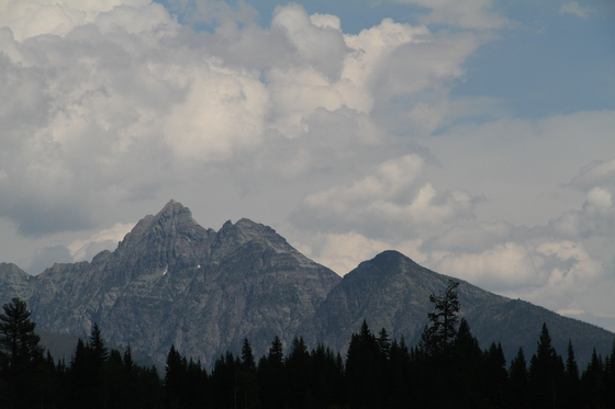 Flathead National Forest