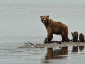 Katmai National Park