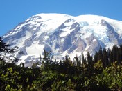 mt Rainier National Park