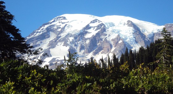 mt Rainier National Park