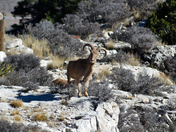 Guadalupe Mountains National Park