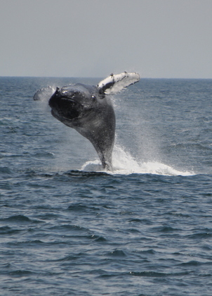 Cape Cod National Seashore