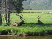 Yellowston Nation Park