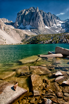 Inyo National Forest