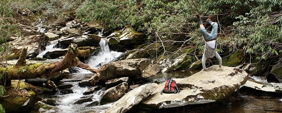 Great Smoky Mountains National Park