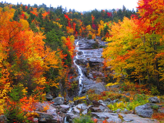White Mountain National Forest