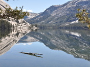 Yosemite National Park