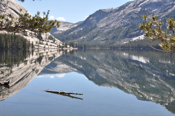 Yosemite National Park