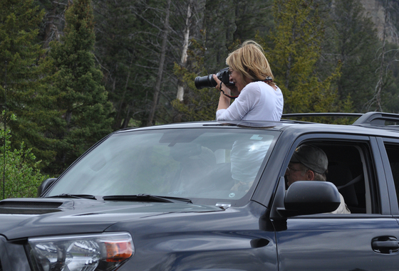 Yellowstone