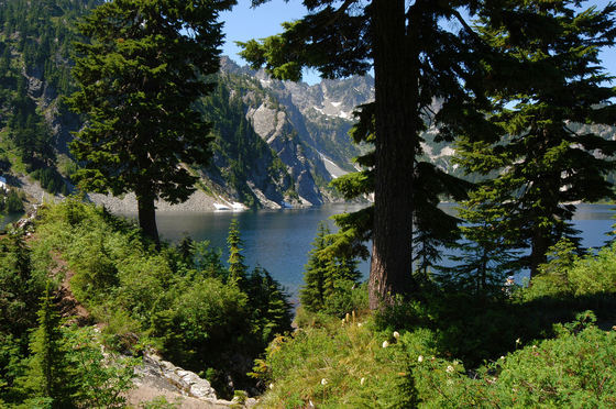 Snoqualmie NF
