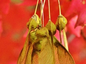 Fourth of July Canyon