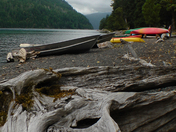Olympic National Park 