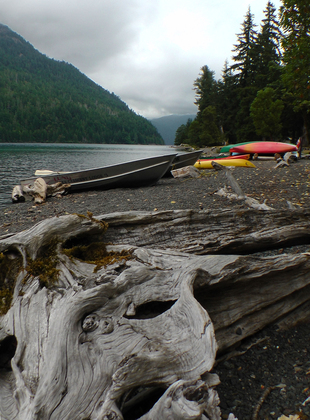 Olympic National Park 