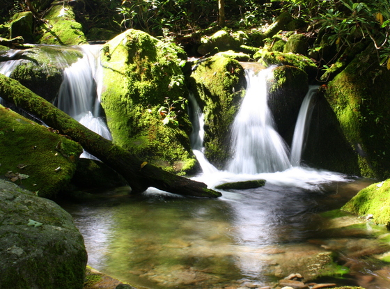 Great Smoky Mountains National Park