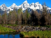 Grand Teton National Park, Wyoming