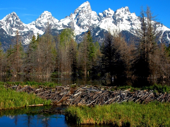 Grand Teton National Park, Wyoming