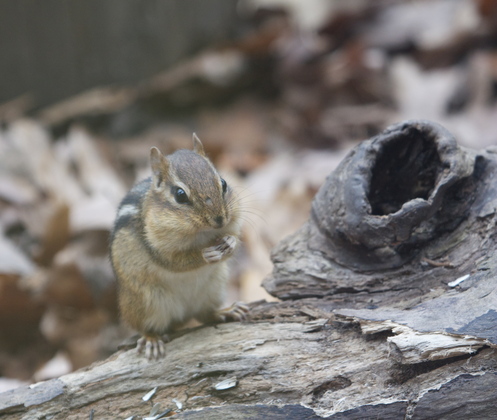 Cuyahoga Valley National Park