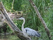 Cuyahoga Valley National Park