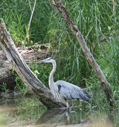 Cuyahoga Valley National Park