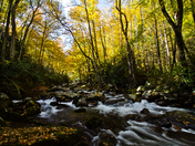 Great Smoky Mountains 