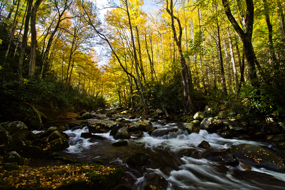 Great Smoky Mountains 