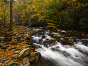 Great Smoky Mountains National Park