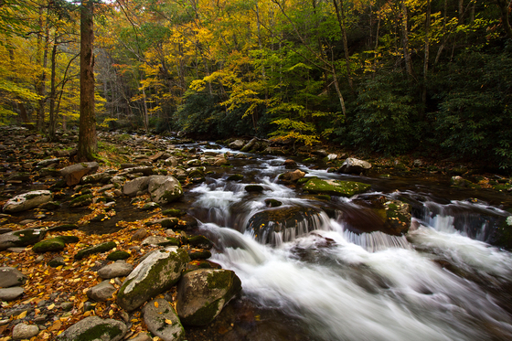 Great Smoky Mountains National Park