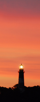 Chincoteague National Wildlife Refuge